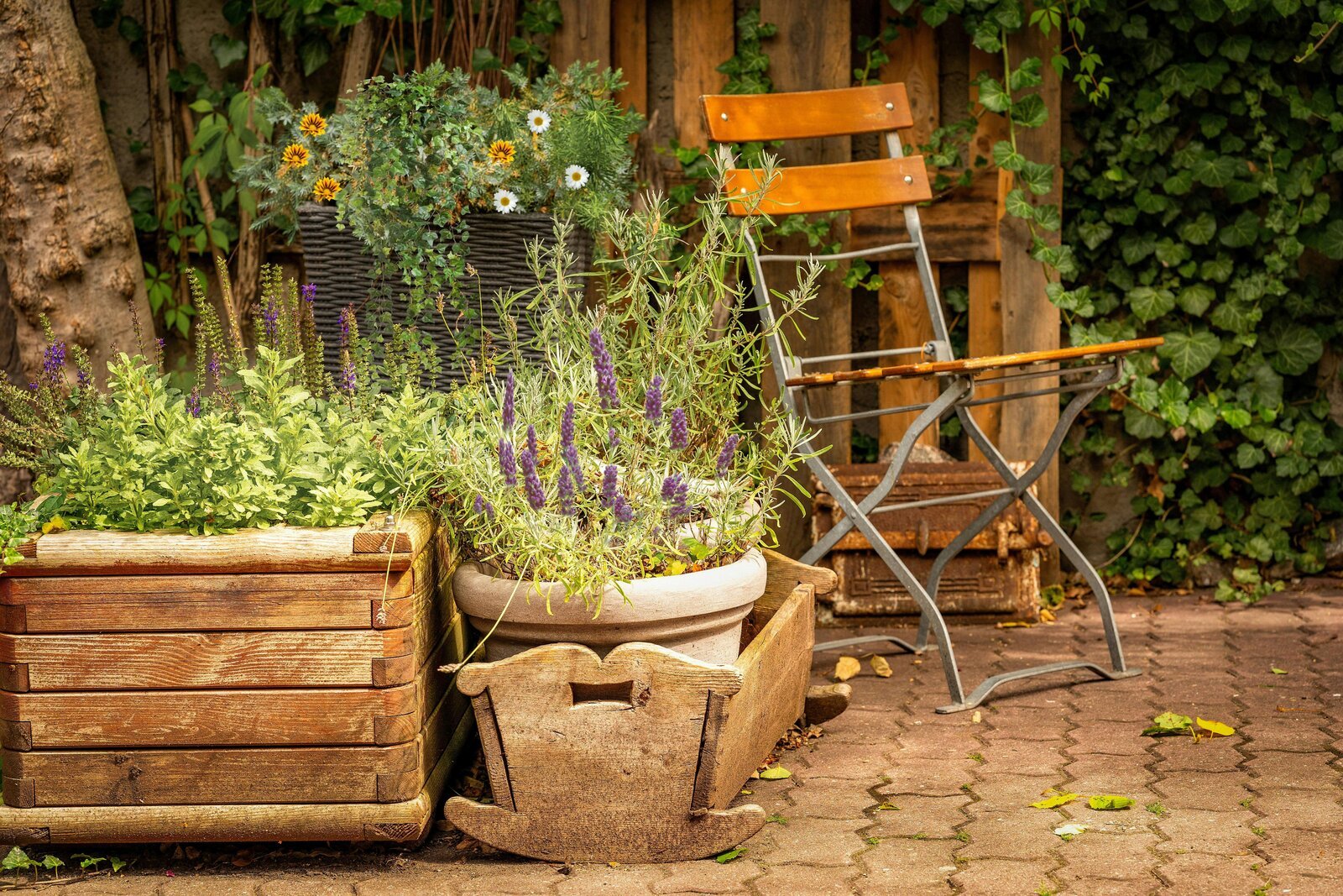 Container garden with lavender and brick pavers